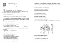 河南省商丘市青桐鸣大联考2023-2024学年高一下学期3月月考 生物试卷及参考答案