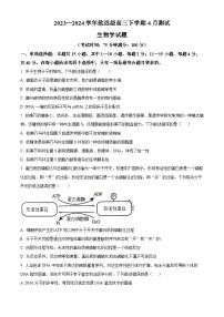 福建省福建师范大学附属中学2024届高三一模生物试卷（Word版附解析）