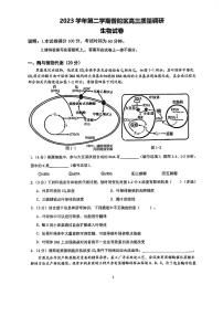 2024年上海普陀区高三二模生物试卷（含答案）