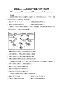 河南省2023-2024学年高二下学期3月月考生物试卷(含答案)