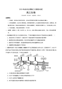 2024年高考第二次模拟考试题：生物（北京卷）（考试版）