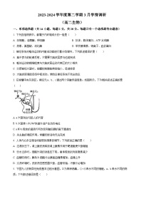 2024镇江六校联考高二下学期3月月考试题生物含解析