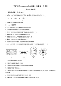 宁夏回族自治区石嘴山市平罗县平罗中学2023-2024学年高一下学期4月月考生物试题（原卷版+解析版）