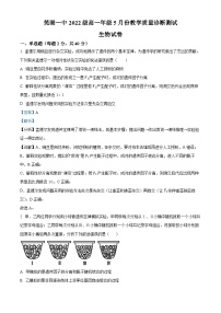 安徽省芜湖市第一中学2022-2023学年高一下学期5月月考生物试卷（Word版附解析）