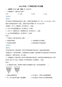 湖南省岳阳市岳阳县第一中学2023-2024学年高一下学期3月月考生物试题（Word版附解析）