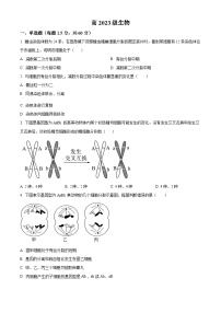 四川省成都市成华区某校2023-2024学年高一下学期4月月考生物试题（原卷版+解析版）