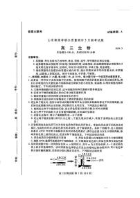 2024年山东新高考高三下学期3月联合质量测评联考生物试题及答案