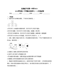 云南省下关第一中学2023-2024学年高二下学期3月段考（一）生物试卷(含答案)