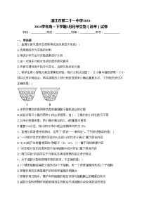 湛江市第二十一中学2023-2024学年高一下学期3月月考生物（选考）试卷(含答案)