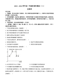 河南省濮阳市部分学校2023-2024学年高一下学期3月月考生物试卷（Word版附解析）