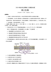 2024年高考第二次模拟考试卷：生物（广东卷）（考试版）