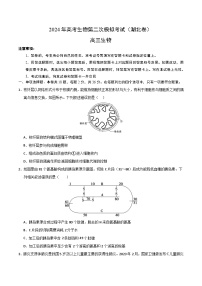 2024年高考第二次模拟考试：生物（湖北卷）（考试版）