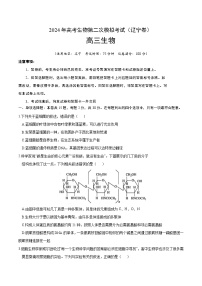 2024年高考第二次模拟考试：生物（辽宁卷）（考试版）