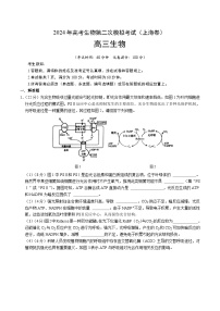 2024年高考第二次模拟考试：生物（上海卷）（考试版）