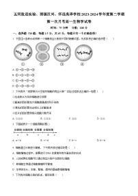 2024蚌埠禹泽汉兴友谊联考高一下学期4月月考试题生物含解析