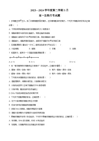 2024高州四中高一下学期3月月考试题生物含解析