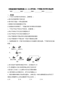 河南省洛阳市强基联盟2023-2024学年高一下学期3月月考生物试卷(含答案)