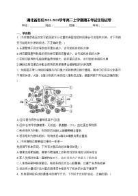 湖北省名校2023-2024学年高二上学期期末考试生物试卷(含答案)