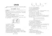 河北省承德市部分高中2024届高三下学期二模生物试题（PDF版附答案）