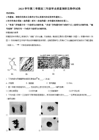 2024年上海市青浦区高三下学期高考&等级考二模生物试卷含详解