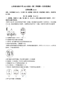 山东省济南市市中区山东省实验中学2023-2024学年高一下学期3月月考生物试题(无答案)