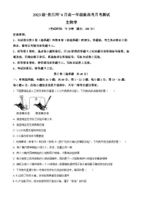 广西壮族自治区贵百河联考2023-2024学年高一下学期4月月考生物试卷（Word版附解析）