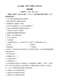 黑龙江省牡丹江市爱民区牡丹江市第一高级中学2023-2024学年高一下学期4月月考生物试题（原卷版+解析版）