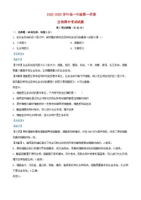 宁夏石嘴山市2022_2023学年高一生物上学期期中试题含解析