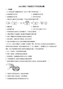 四川省眉山市彭山区第一中学2023-2024学年高二下学期4月月考生物试题（原卷版+解析版）