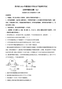 2024届贵州省普通高中学业水平选择性模拟考试生物试题(五)（原卷版+解析版）