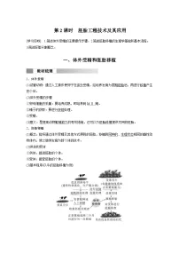 高中生物人教版 (2019)选择性必修3二 胚胎工程技术及其应用优质第2课时导学案