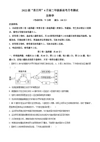 2024广西壮族自治区贵百河联考高二下学期4月月考试题生物含解析