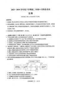 2024辽宁省重点高中协作体高二下学期4月阶段考试生物PDF版含答案