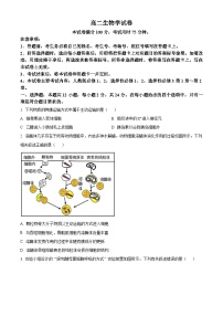 2024衡阳县三校联考高二下学期4月月考试题生物含解析