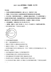 安徽省亳州市涡阳县2023-2024学年高一下学期4月月考生物试题（原卷版+解析版）