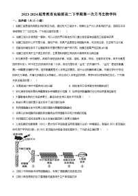 辽宁省沈阳市浑南区东北育才学校2023-2024学年高二下学期4月月考生物试题（原卷版+解析版）