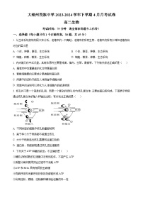 云南省大理白族自治州民族中学2023-2024学年高二下学期4月月考生物试题（原卷版+解析版）