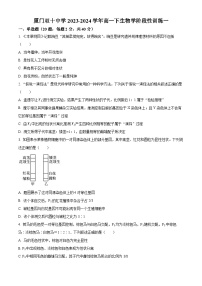 福建省厦门市湖里区双十中学2023-2024学年高一下学期4月月考生物试题（Word版附解析）