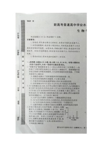 江西省鹰潭市贵溪市实验中学2023-2024学年高三下学期4月月考生物试卷