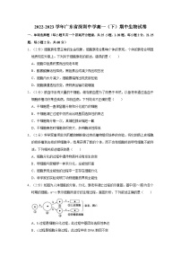 2022-2023学年广东省深圳中学高一（下）期中生物试卷