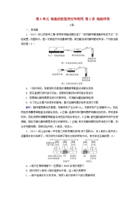 2025版高考生物一轮总复习必修1第3单元细胞的能量供应和利用第2讲细胞呼吸提能训练