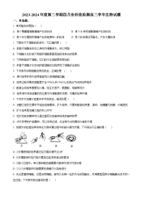 黑龙江省鸡西市鸡冠区第十九中学2023-2024学年高二下学期4月期末生物试题（原卷版+解析版）