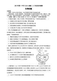 山东省济宁市任城区济宁市第一中学2023-2024学年高三下学期4月月考生物试题