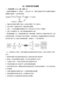 山东省潍坊市安丘市2023-2024学年高二下学期4月月考生物试题（原卷版+解析版）