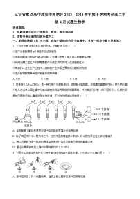 辽宁省重点高中沈阳市郊联体2023-2024高二下学期4月考试生物试题（原卷版+解析版）