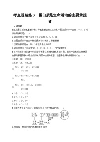 2025届高三一轮复习生物新高考新教材考点规范练3蛋白质是生命活动的主要承担者…（Word版附解析）