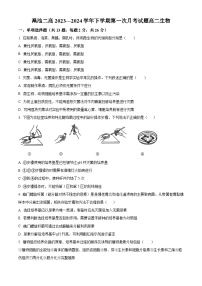 河南省三门峡市渑池县第二高级中学2023-2024学年高二下学期4月月考生物试题（原卷版+解析版）