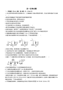 山东省菏泽市鄄城县第一中学2023-2024学年高一下学期4月月考生物试题