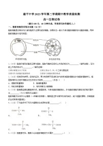 上海市浦东新区建平中学2023-2024学年高一下学期4月期中考试生物试题(无答案)