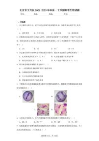 【高一生物】2023北京大兴区下学期期中试卷及答案